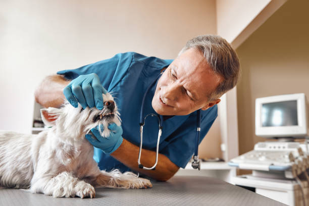 Best Emergency Dental Extractions in Marysville, CA